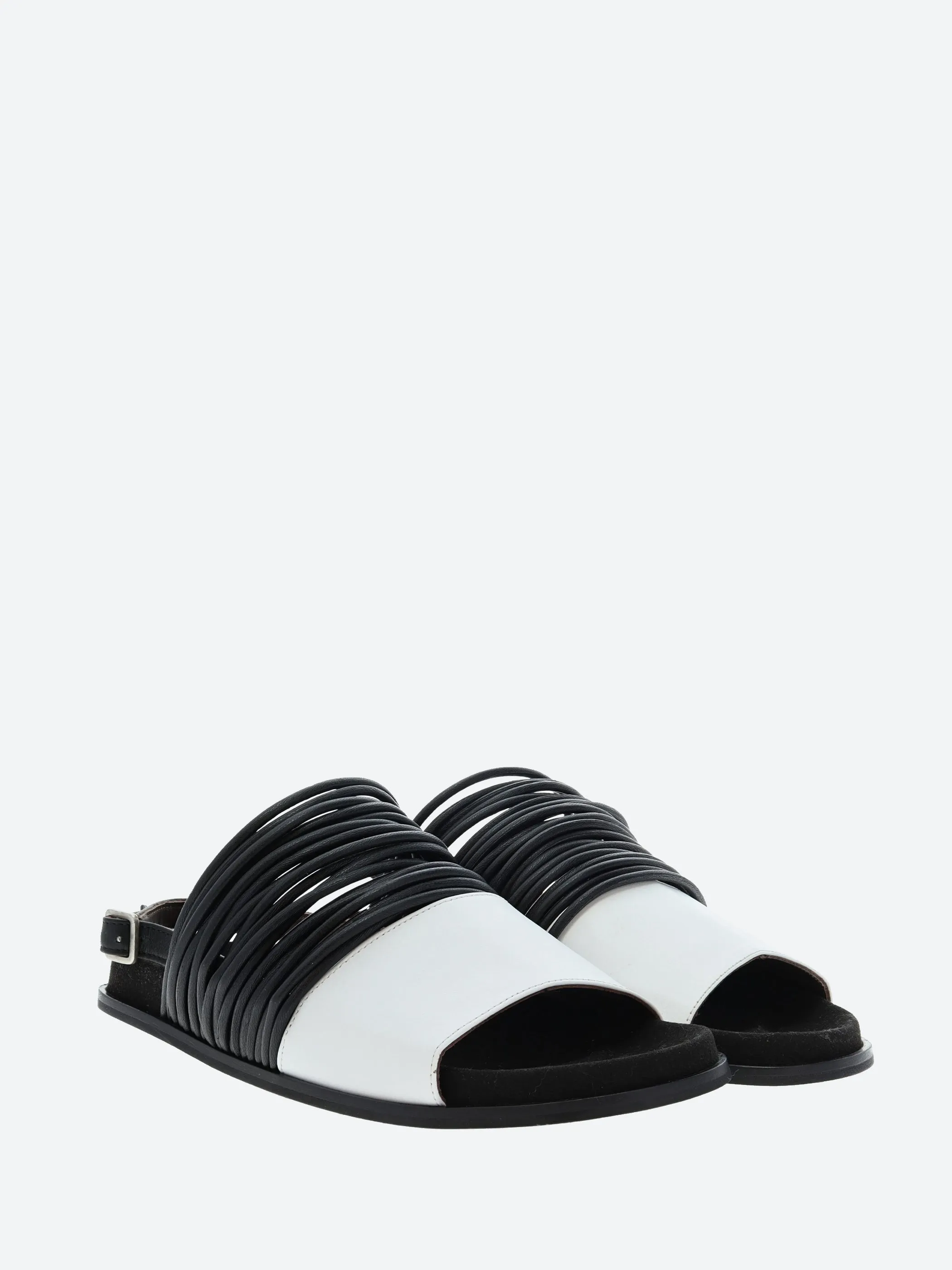 Timmy Sandal