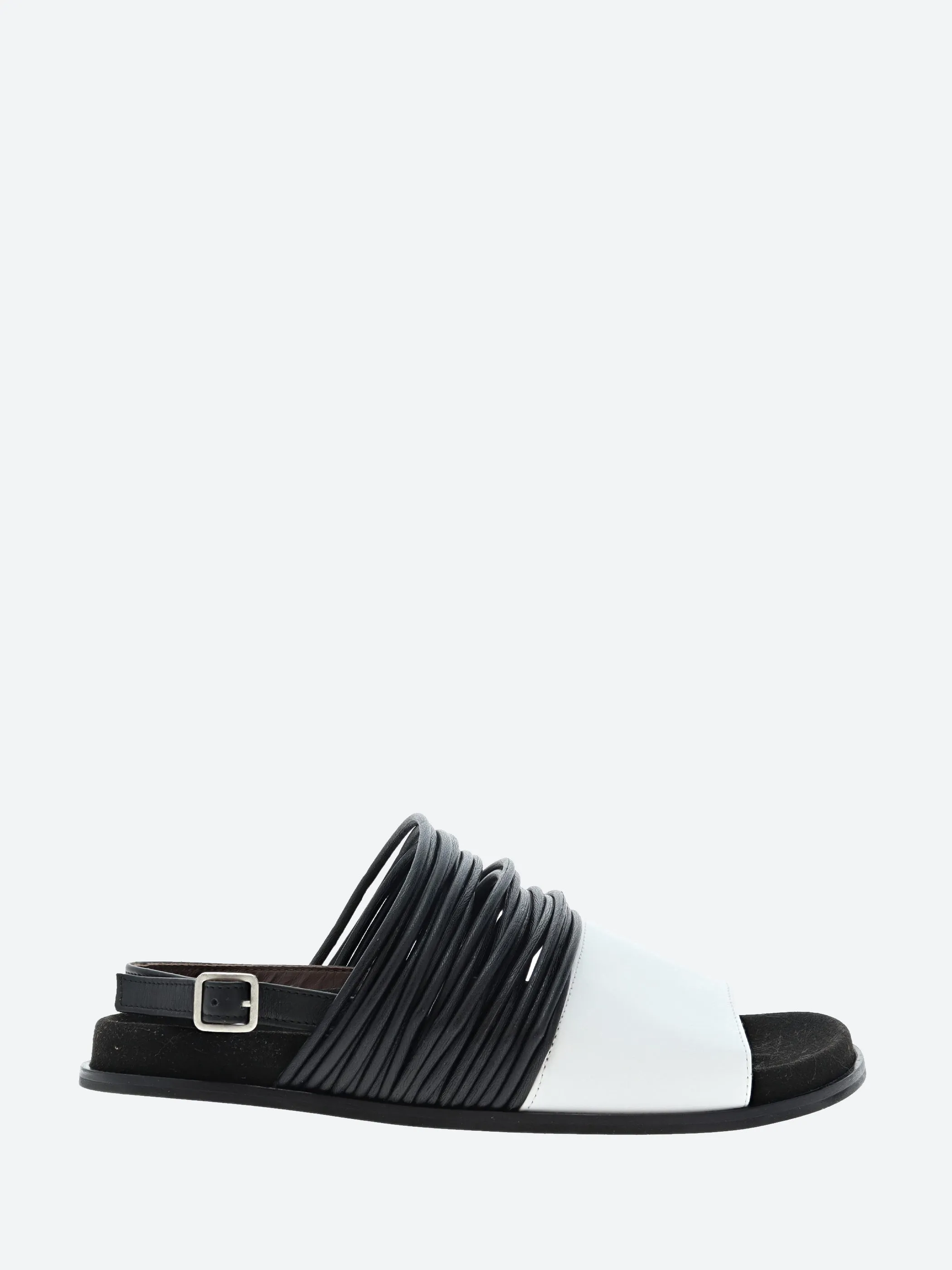 Timmy Sandal