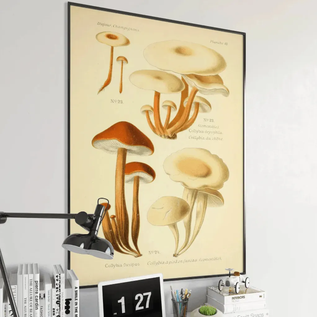 Vintage Botanical Mushroom Wall Poster Print